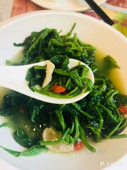 速冻桑叶菜  敏琴桑芽菜，清肝明目，是新时代健康绿蔬菜