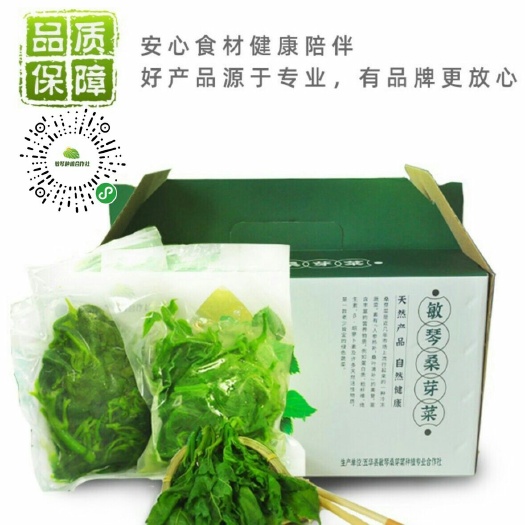 五华县速冻桑叶菜  敏琴桑芽菜，清肝明目，是新时代健康绿蔬菜
