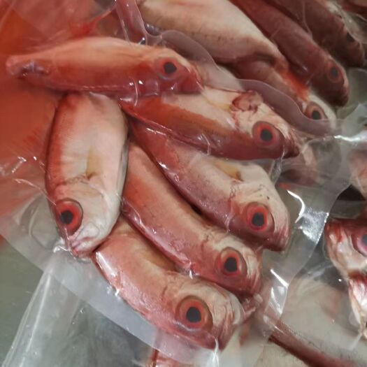 徐闻县深海海鲜 大眼鸡，一斤一包，杀好净重9两左右
