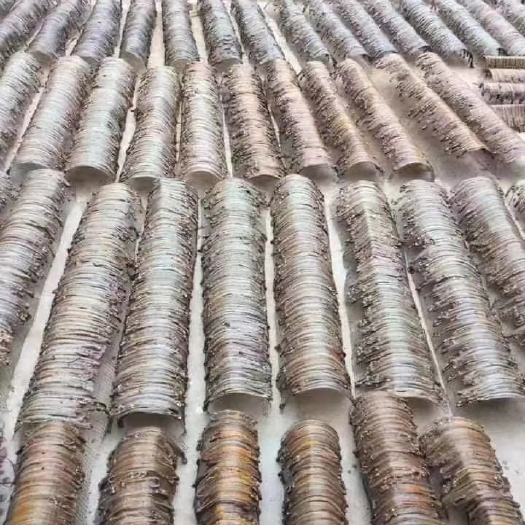 虞城县土地龙  地龙干