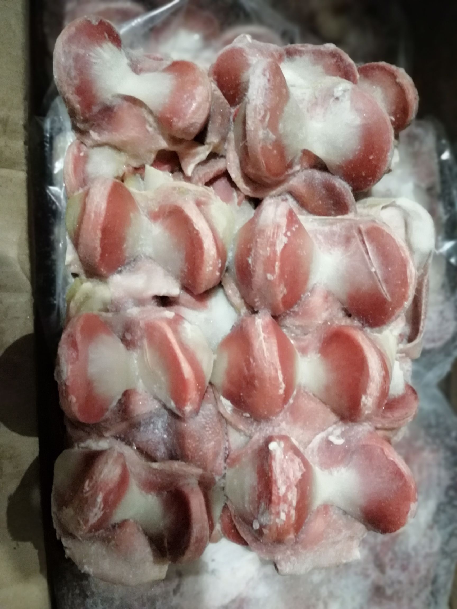 鹅胗 鹅珍
