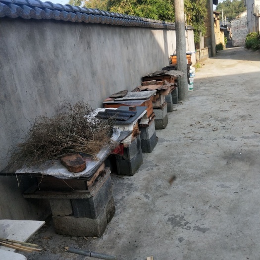 杭州 浙西山区土蜂蜜