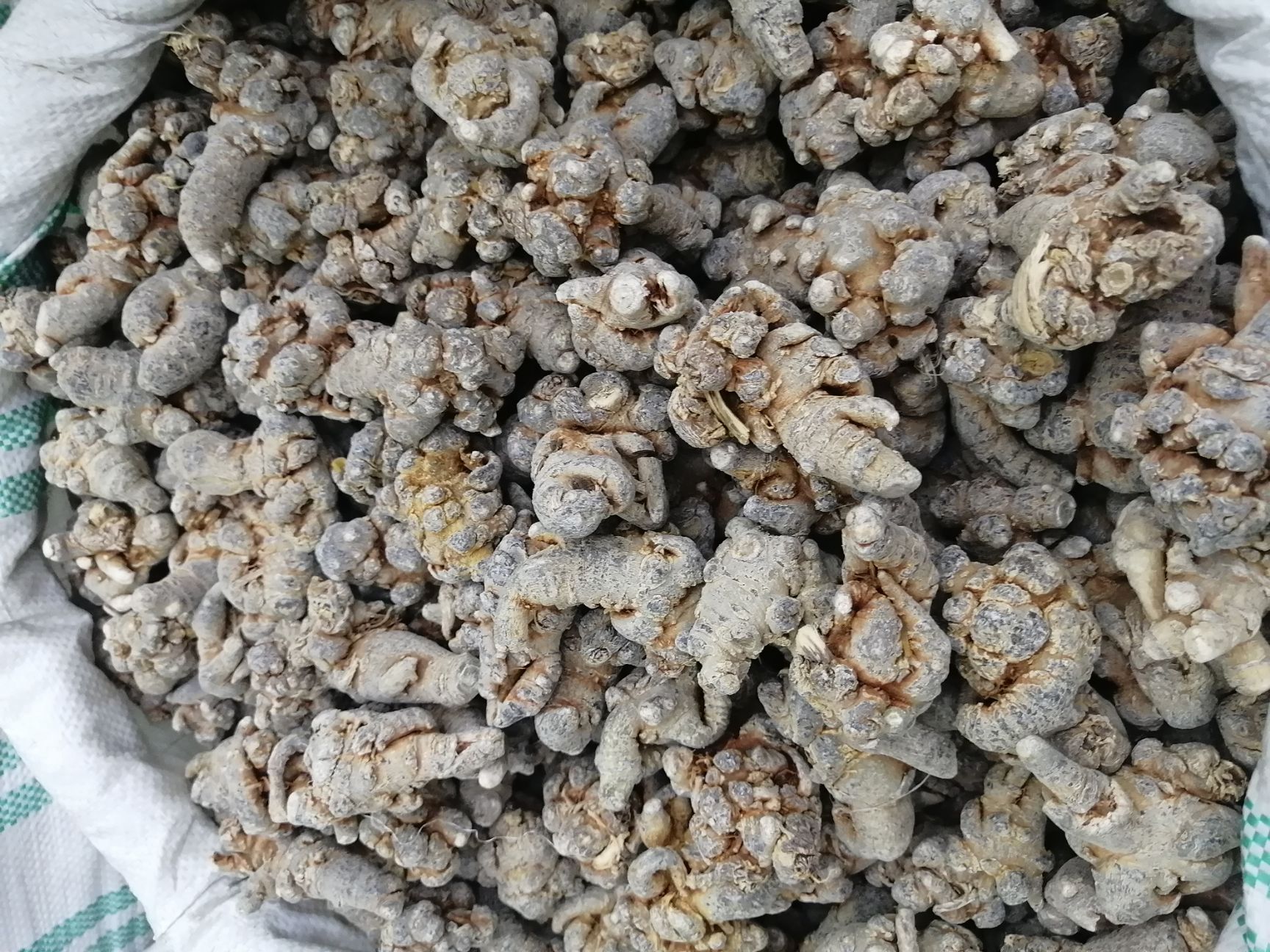 春七  三七 文山三七  20头三七  各规格水洗干三七