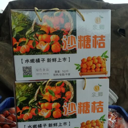 永州沙糖桔 