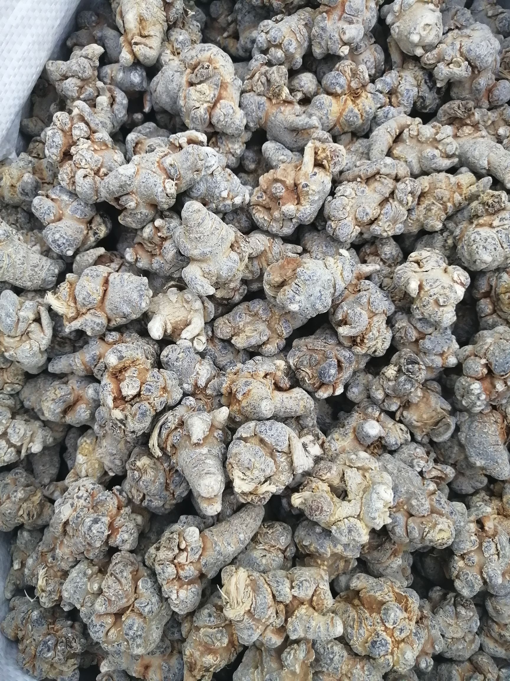 春七  三七 文山三七  20头三七  各规格水洗干三七