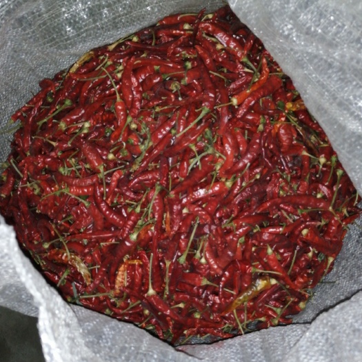 遵义艳红辣椒  该辣椒生长在高寒地区，具有香辣的特色。