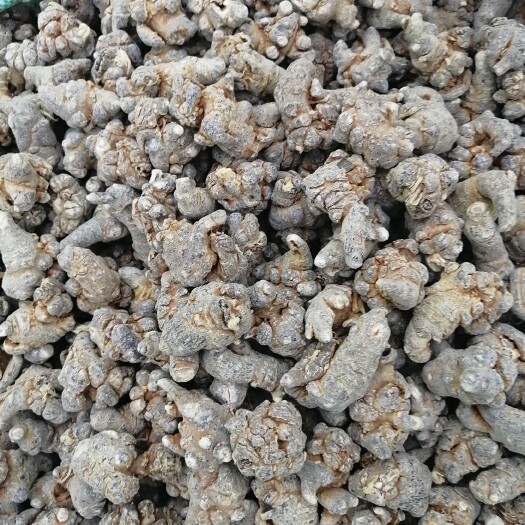 春七  三七 文山三七  20头三七  各规格水洗干三七
