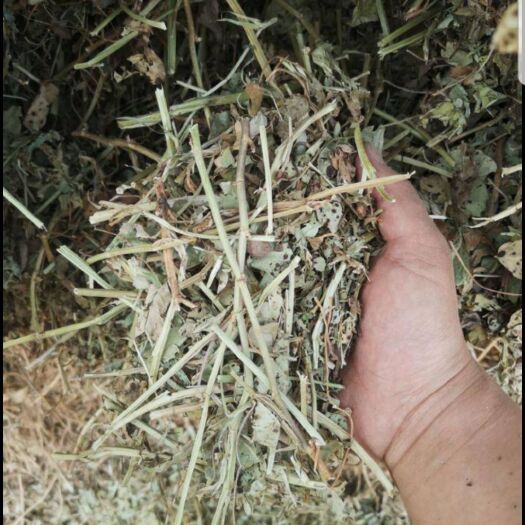 唐河县花生秧细粉