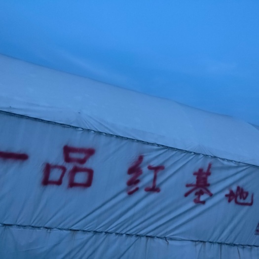 临武县 苦竹
