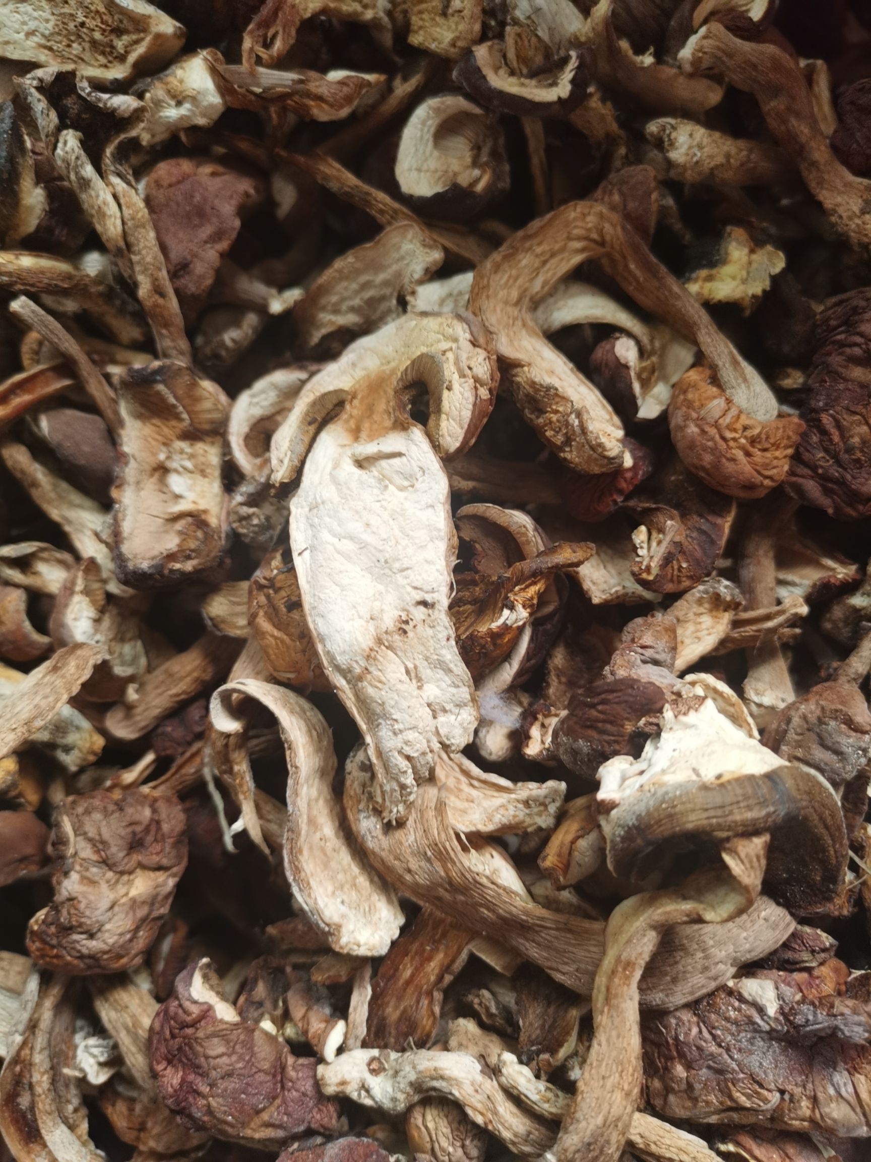 美味牛肝菌  当年 干牛肝菌  天然 自然烘干