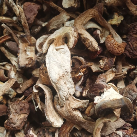 梅河口市美味牛肝菌  当年 干牛肝菌  天然 自然烘干