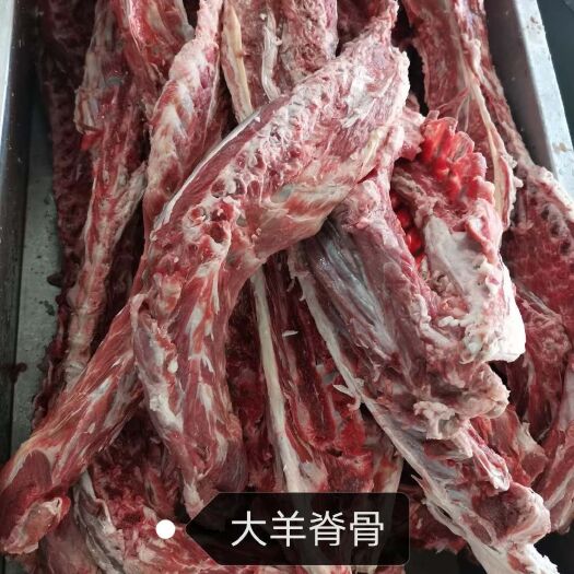 阳信县羊蝎子