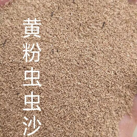 正定县水产养殖饲料 黄粉虫虫沙，蛋白17-18，价格很低，可代替喷浆玉米皮使用