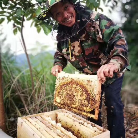 天柱县 高山土蜂蜜