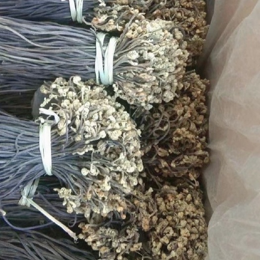沈阳野生蕨菜  优质蕨菜干，天然干蕨菜，特别嫩，味道特别好，长期