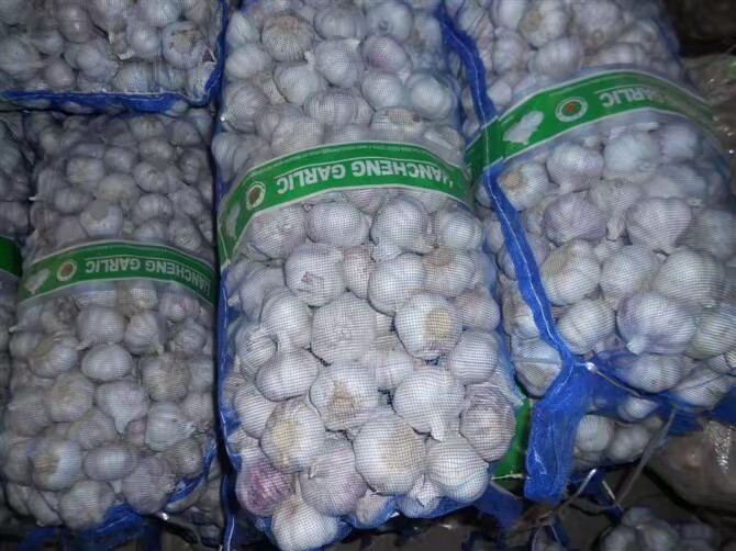 成武县红皮大蒜  2020新大蒜，干蒜，红蒜白蒜太空蒜。原产地直销，带收带加工