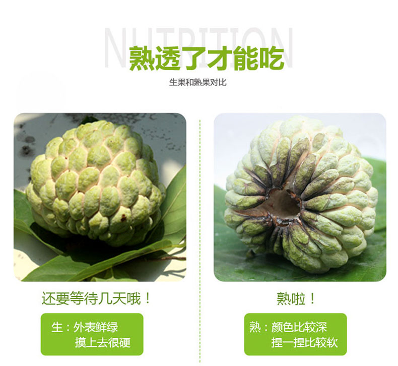 顺丰包邮樟林林檎大目释迦果佛头果新鲜水果