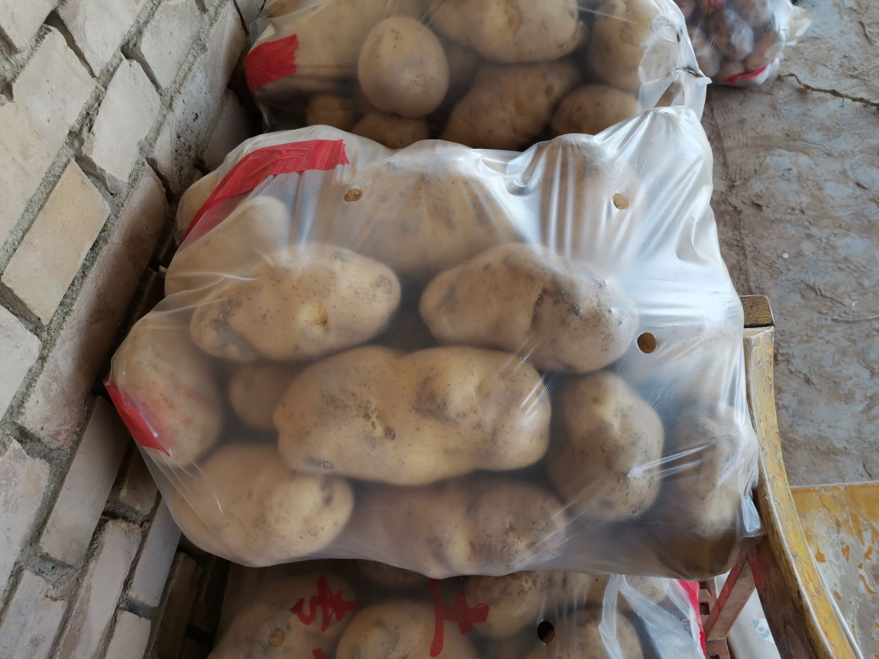 定西马铃薯 我产地土豆大量上市，有226，隆七，隆十，青九