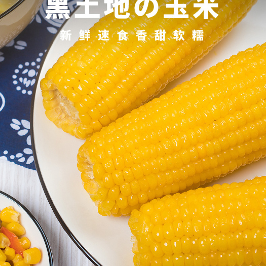 肇州县东北甜糯玉米真空玉米一件代发工厂直发