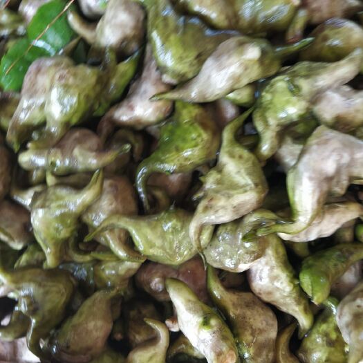 浠水县菱角嫩的老的都有去壳菱角米也有全部大量批发。需要的话速来联系