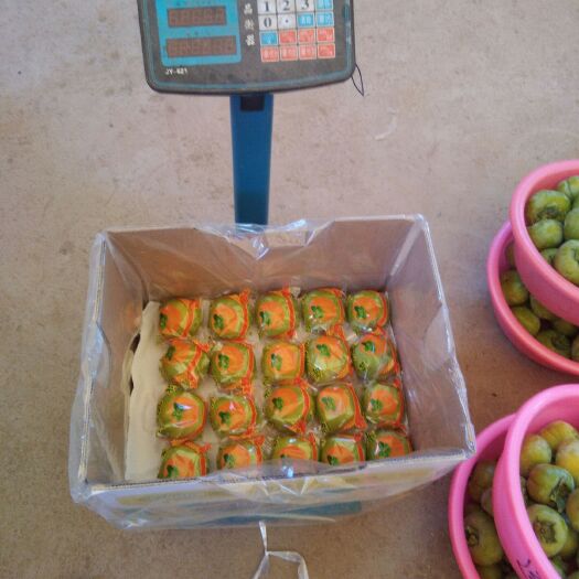 恭城县甜心柿  广西桂林甜脆柿产地直供，口感好，品质高，支持代收，