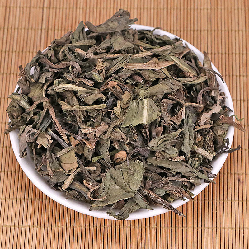 南板南根本场地所产板蓝根技条繁多叶厚靛足出靛量高颜色正