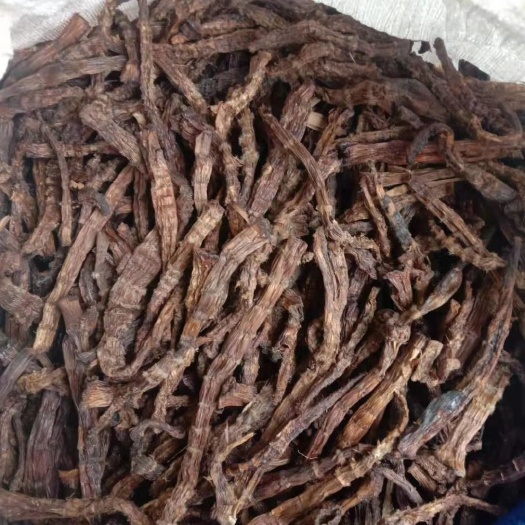 马边县竹芋 马边干笋
