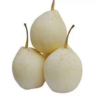 冠县 鸭梨  鸭梨  一级鸭梨