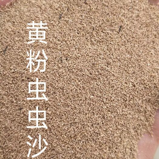 唐县蛋白质饲料 黄粉虫粪
蛋白17
