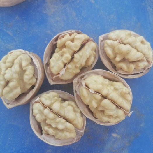 阿瓦提县鲜核桃  疆阿克苏薄皮核桃纸皮185核桃，新二核桃颗颗饱满