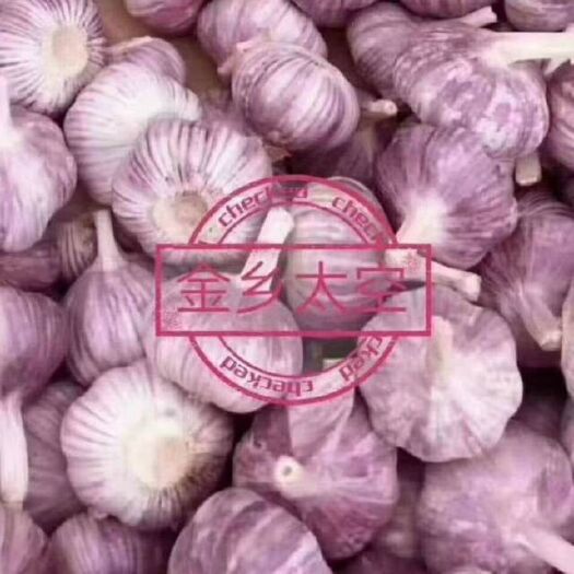 金乡县太空2号大蒜 混级统货 