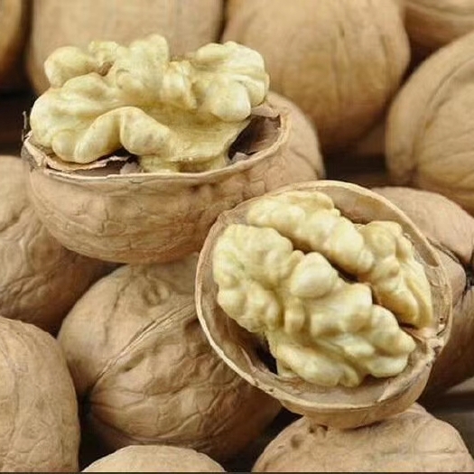 和田县薄皮核桃  2020新货干核桃新疆薄皮纸皮中货大货纸皮185一件代