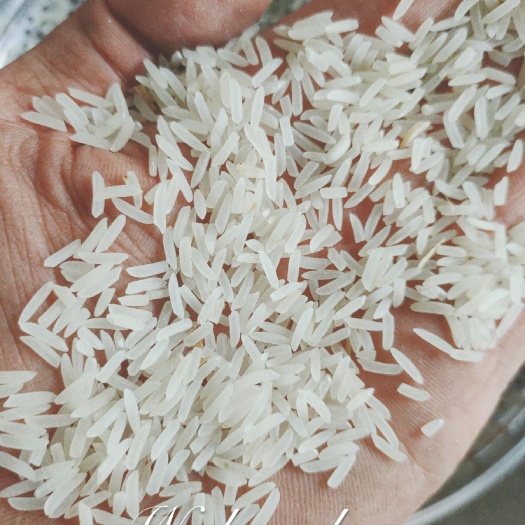 象牙粘 象牙米丝香