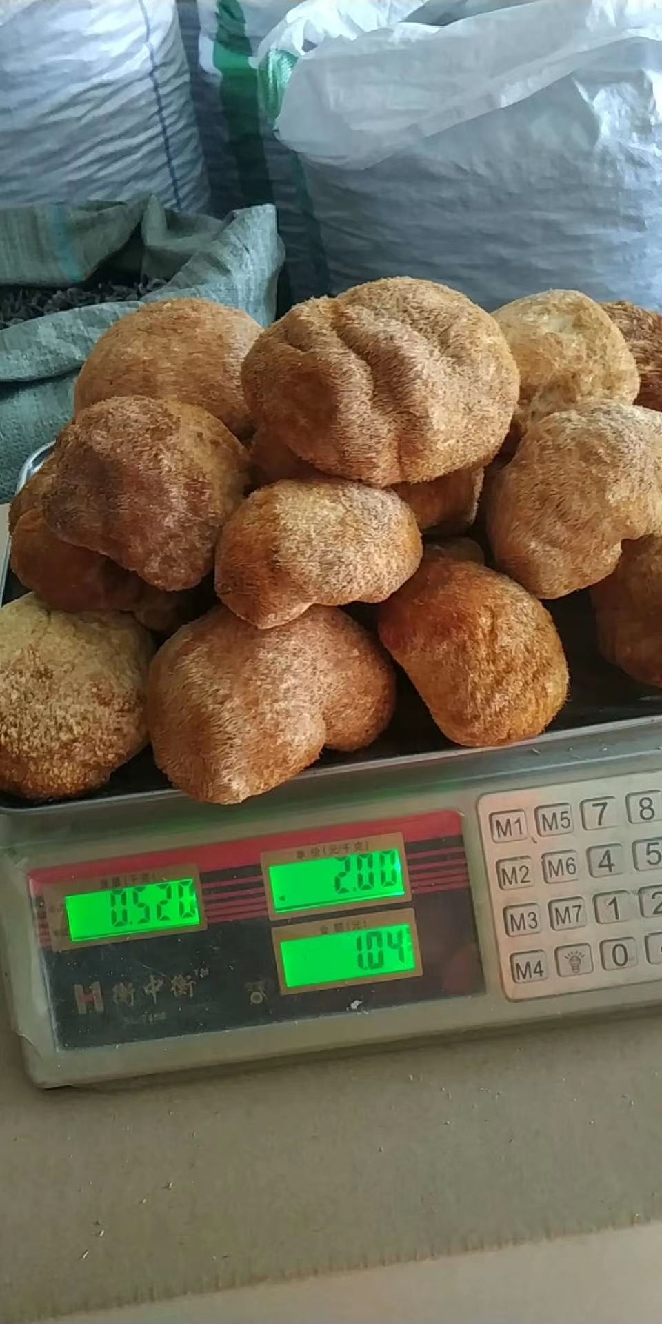 干猴头菇  东北猴头菇，猴头蘑