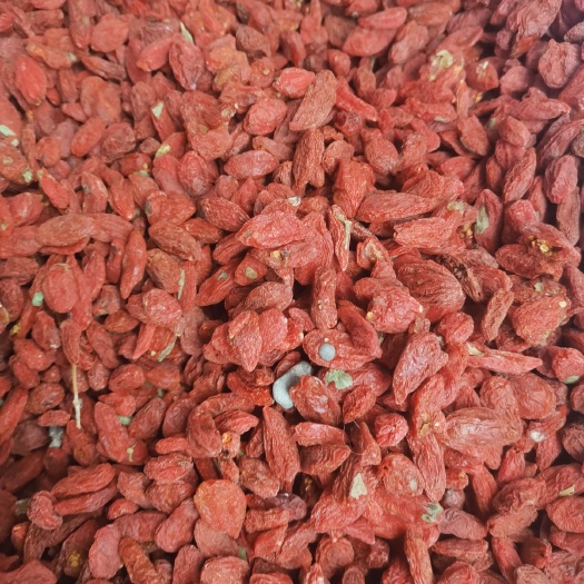 成都宁夏枸杞，干度非常干，煮汤泡茶巴适得很！！