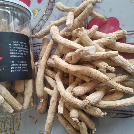 陇西县林下参西洋参  西洋参