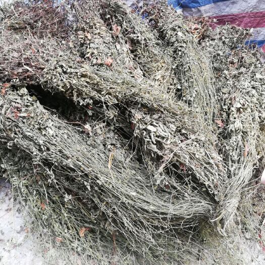 全州县广西仙鹤草，龙亚草，干货一手货源，价格美丽欢迎光临洽谈合作
