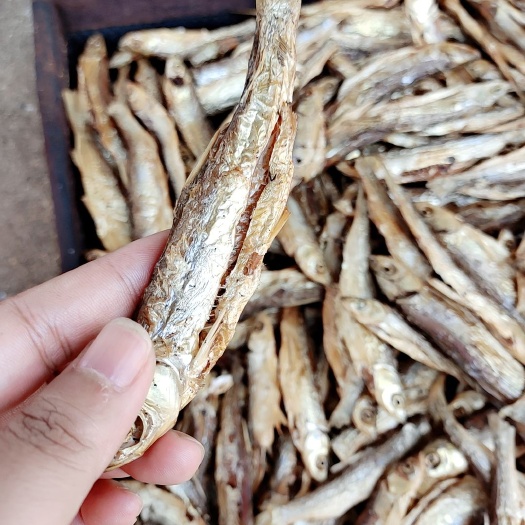 富川县草鱼  鱼干虾米干