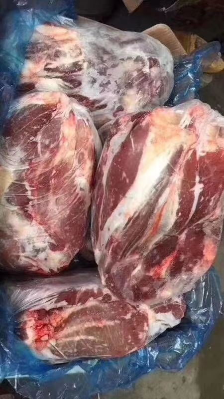 阳信县纯干牛前腱，精修无油，质量好价格低