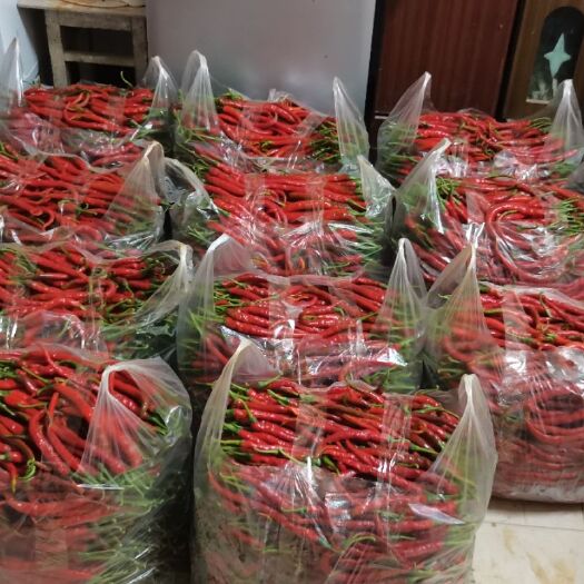 嵩明县艳红辣椒 
