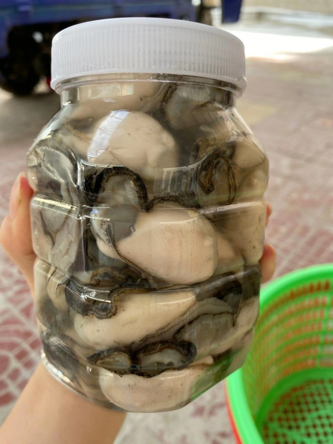 容肉生蚝肉 罐装袋装批发