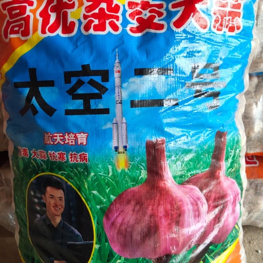 金乡县金乡大蒜 太空大蒜种子