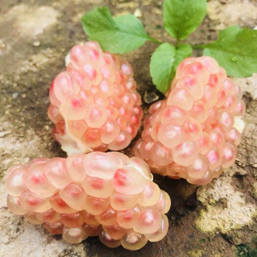 蒙自市蒙自石榴  蒙自水晶甜石榴  薄皮多汁 口感好