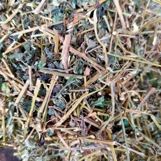 绞股蓝茶   原生中药材绞股蓝，新货， 药用绞股蓝 七叶参七