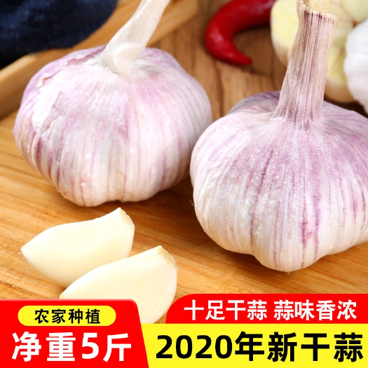 金乡县 金乡大蒜电商专用