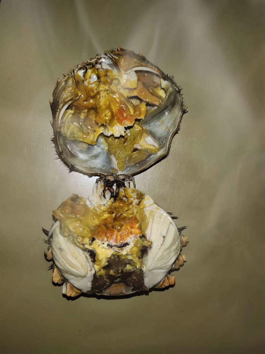 安徽螃蟹 物美价廉，需要联系