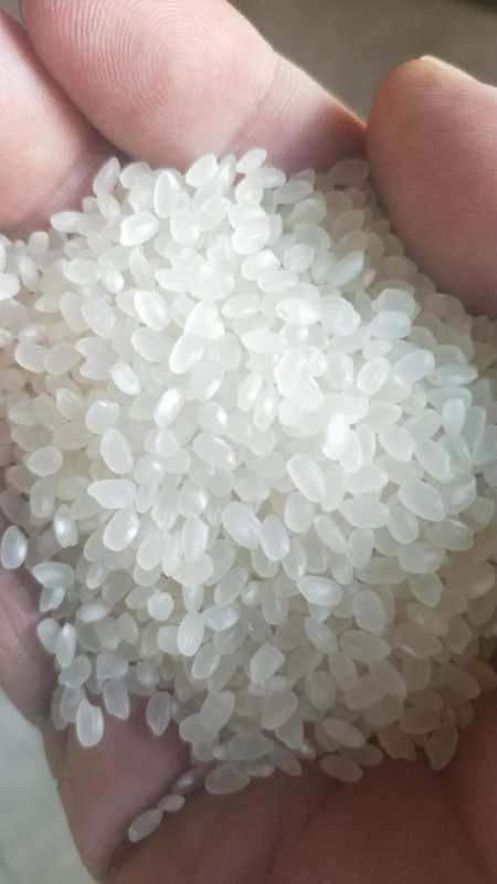 南京淮安大米 一等品 一季稻 粳米 