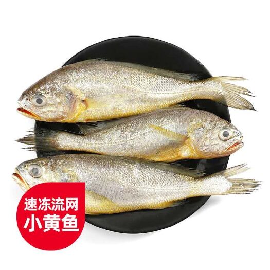 舟山 舟山鱼哥海鲜小黄鱼