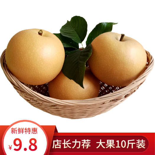 莱西市山东丰水梨新鲜水果秋月梨子批发现摘现发整箱包邮