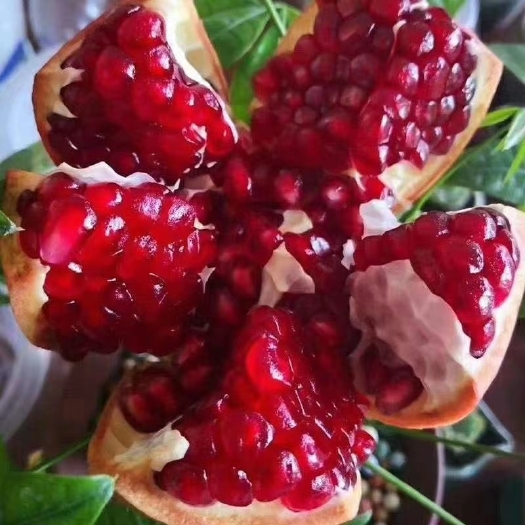 攀枝花花皮石榴 皮薄多汁，果粒饱满